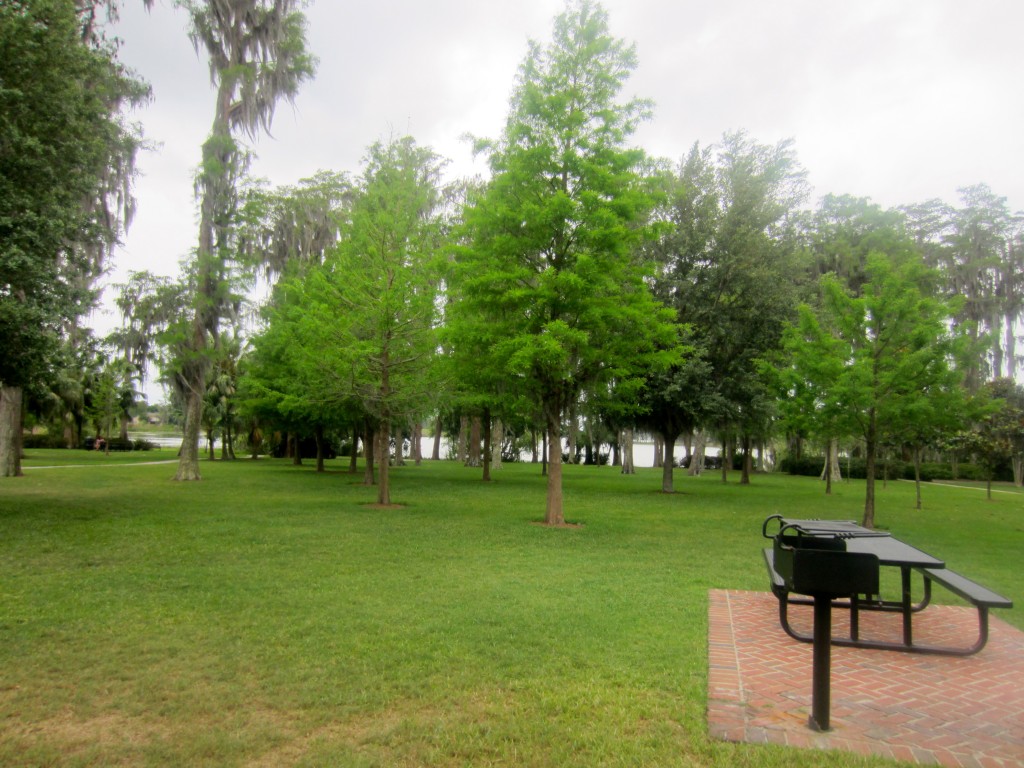 Cypress Grove Park Picnic Table