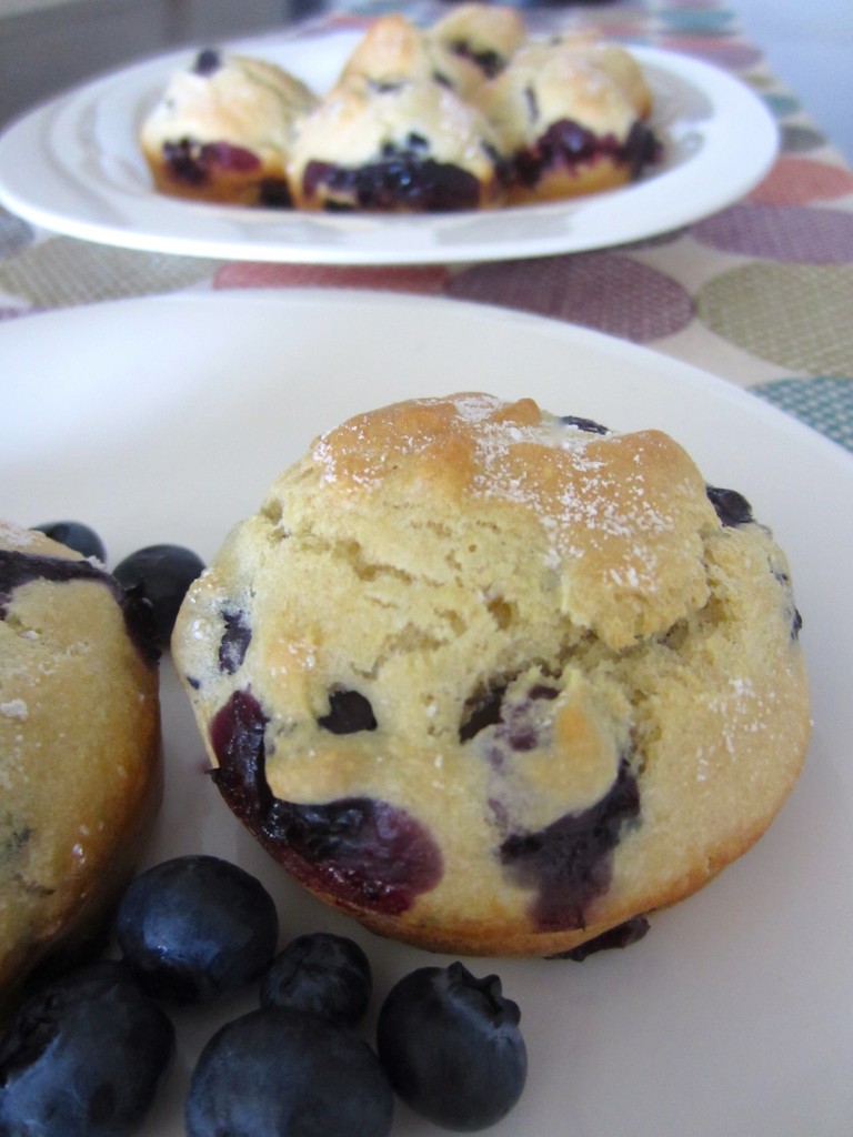 Blueberry Muffins with applesauce and stevia