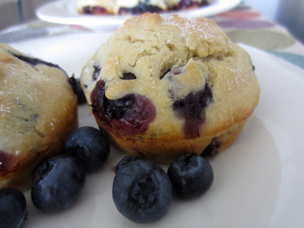 Healthy and lowfat Blueberry Muffin Recipe