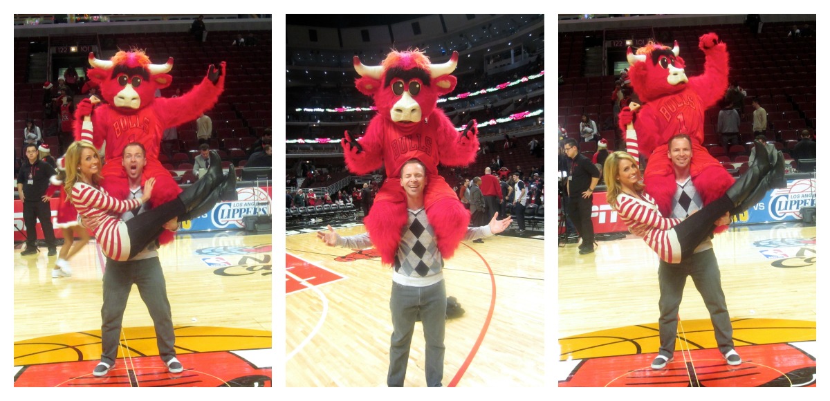 Benny the Bull collage