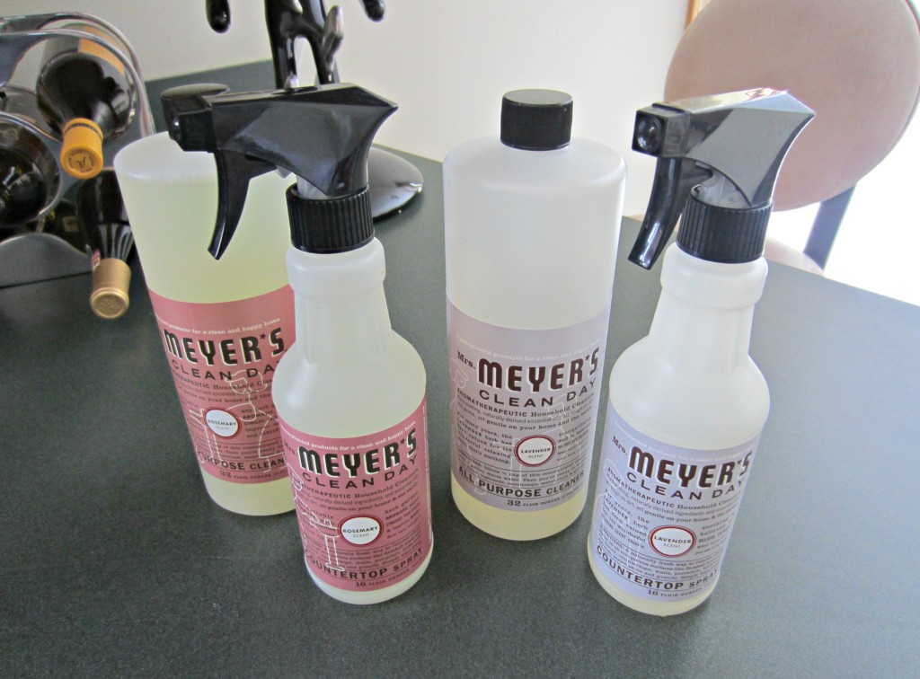 Meyer's clean day supplies