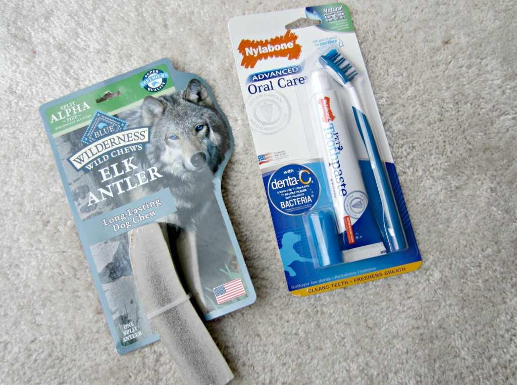 dog antler chew and toothbrush dental care