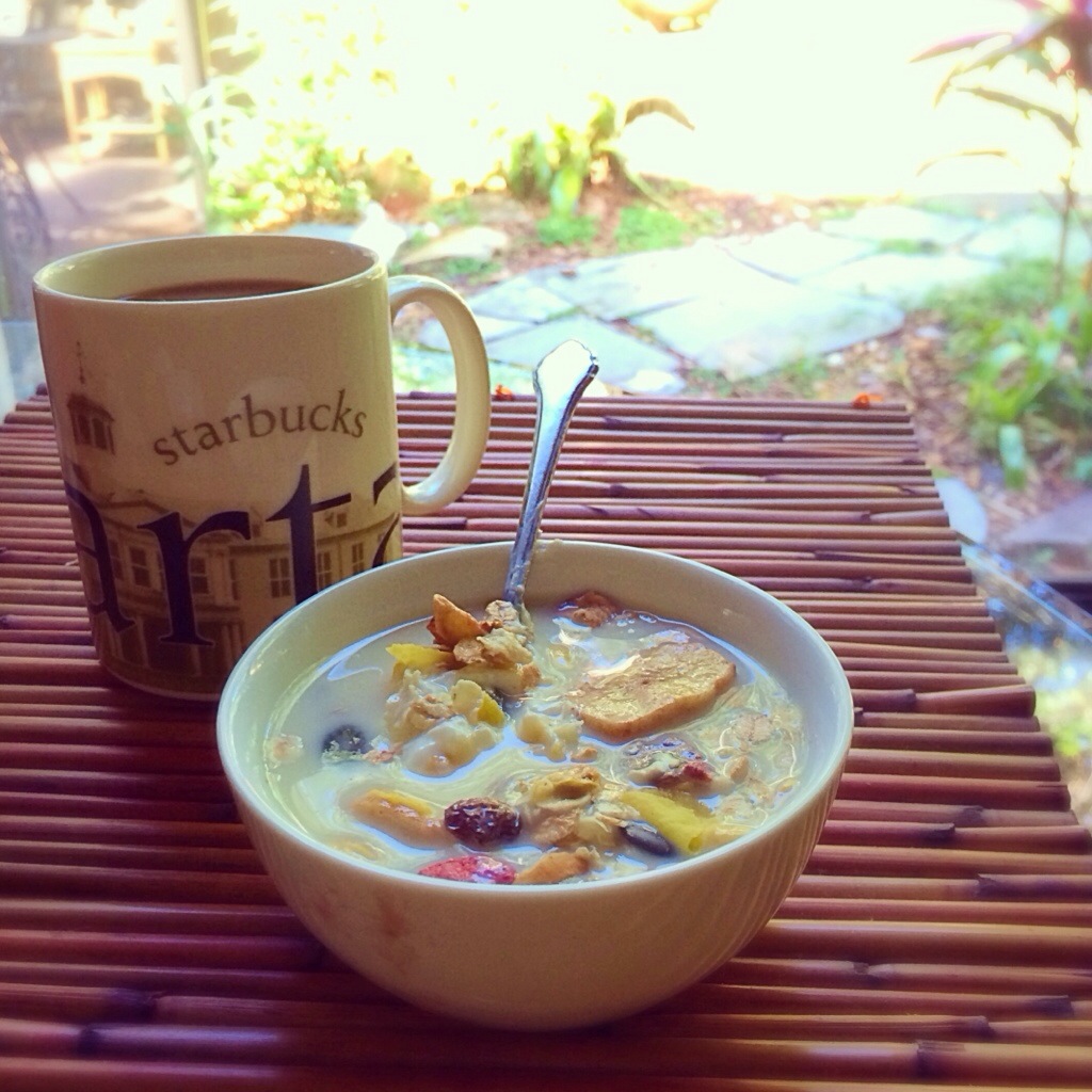 Muesli yogurt bowl breakfast