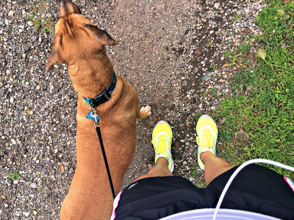 running with roadie on the trails