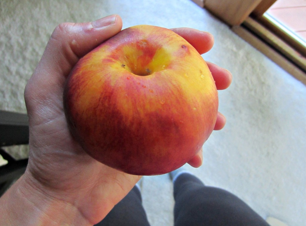 peach for a snack