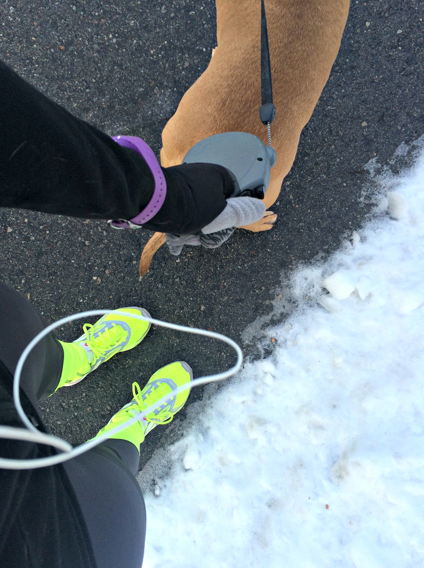 winter running with roadie