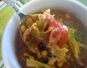 Chicken Tortilla Soup bite