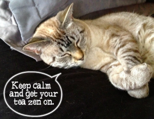 Zen Cat Cartoon