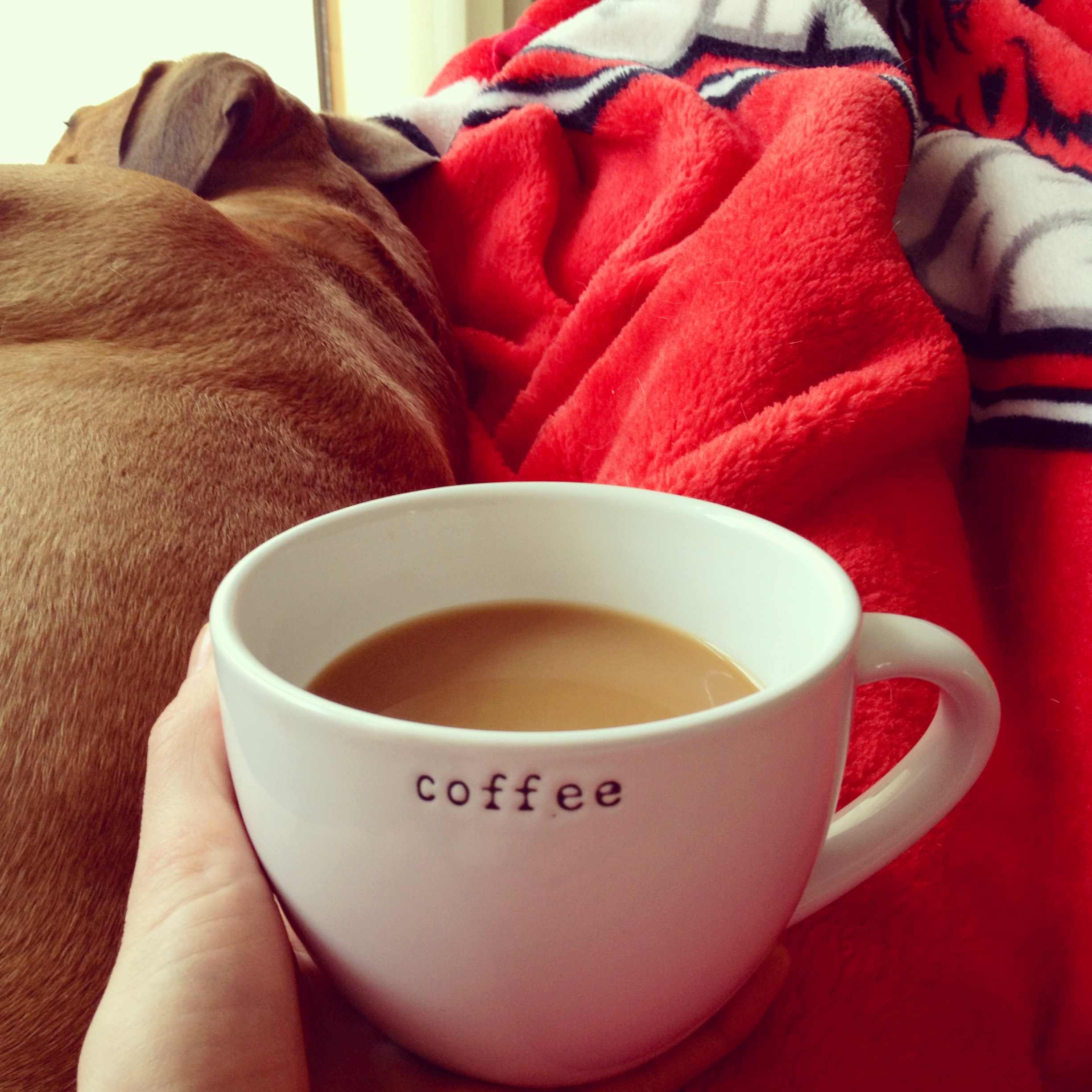 coffee and snuggle break