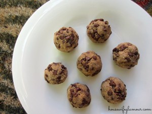 Chocolate Chip Cookie Prot