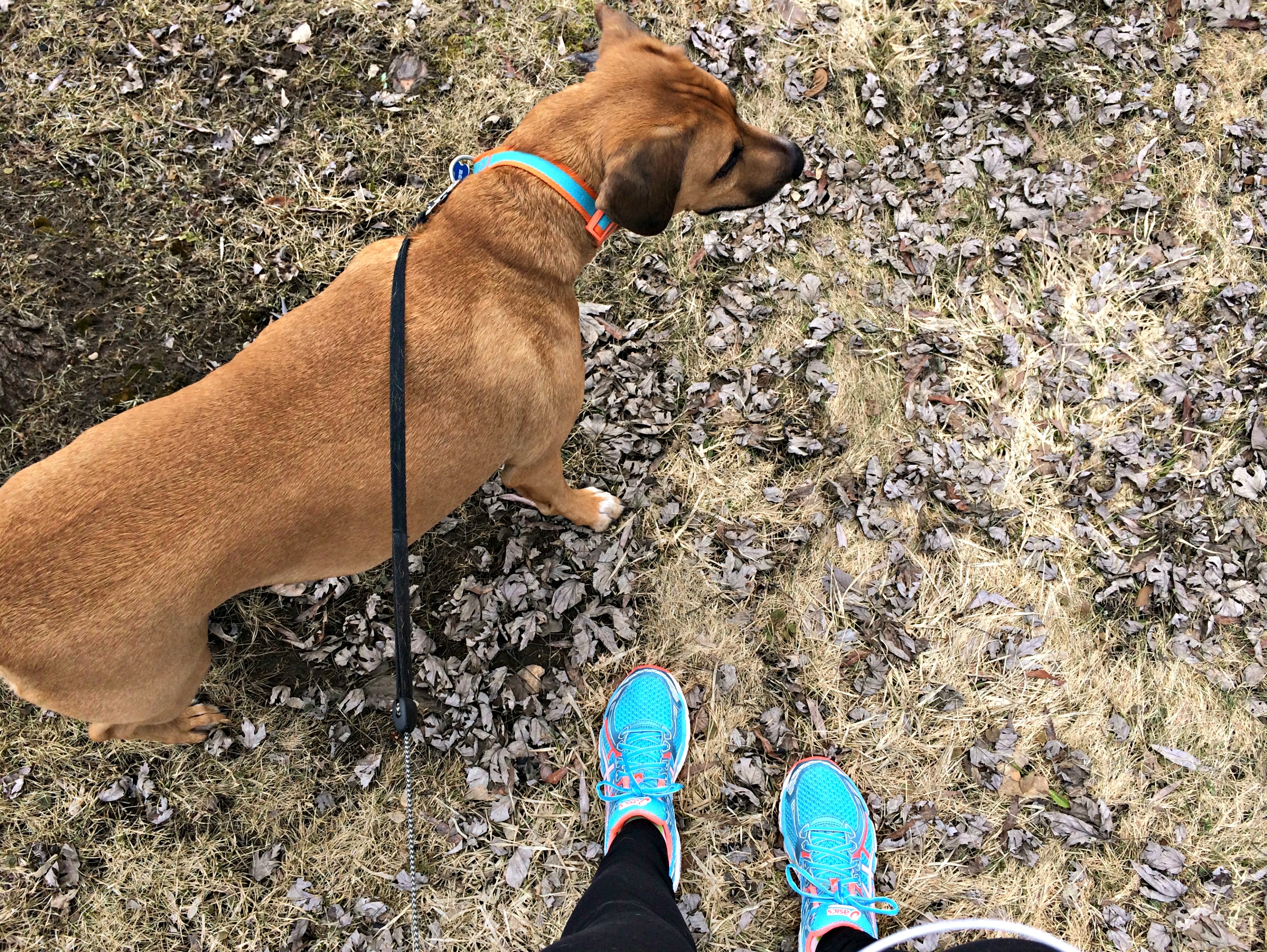 running with roadie