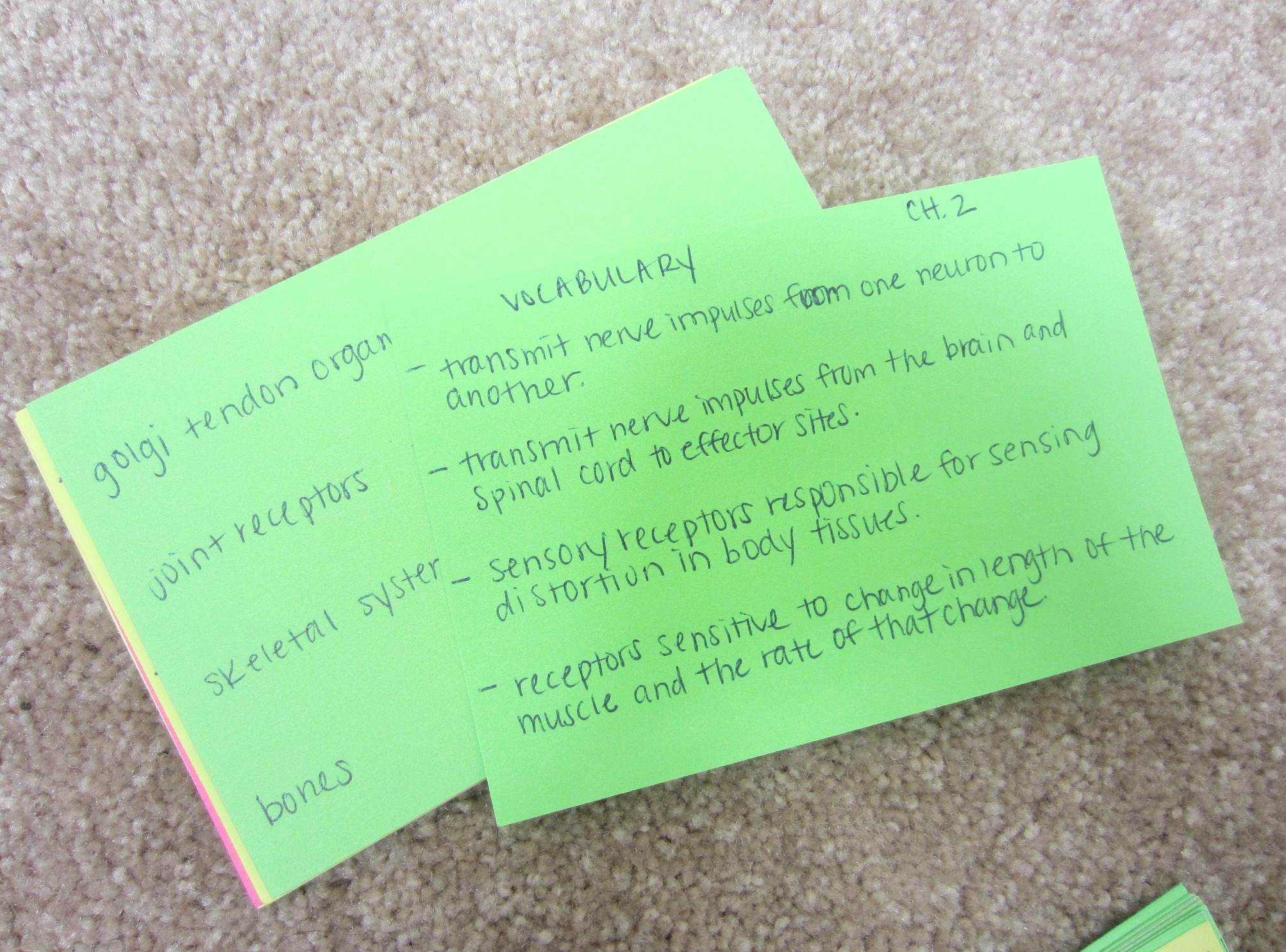 Tips for Studying with NASM