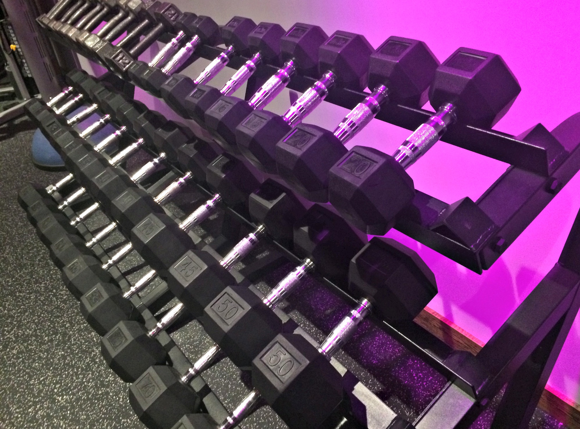 free weight dumbbells rock city fitness