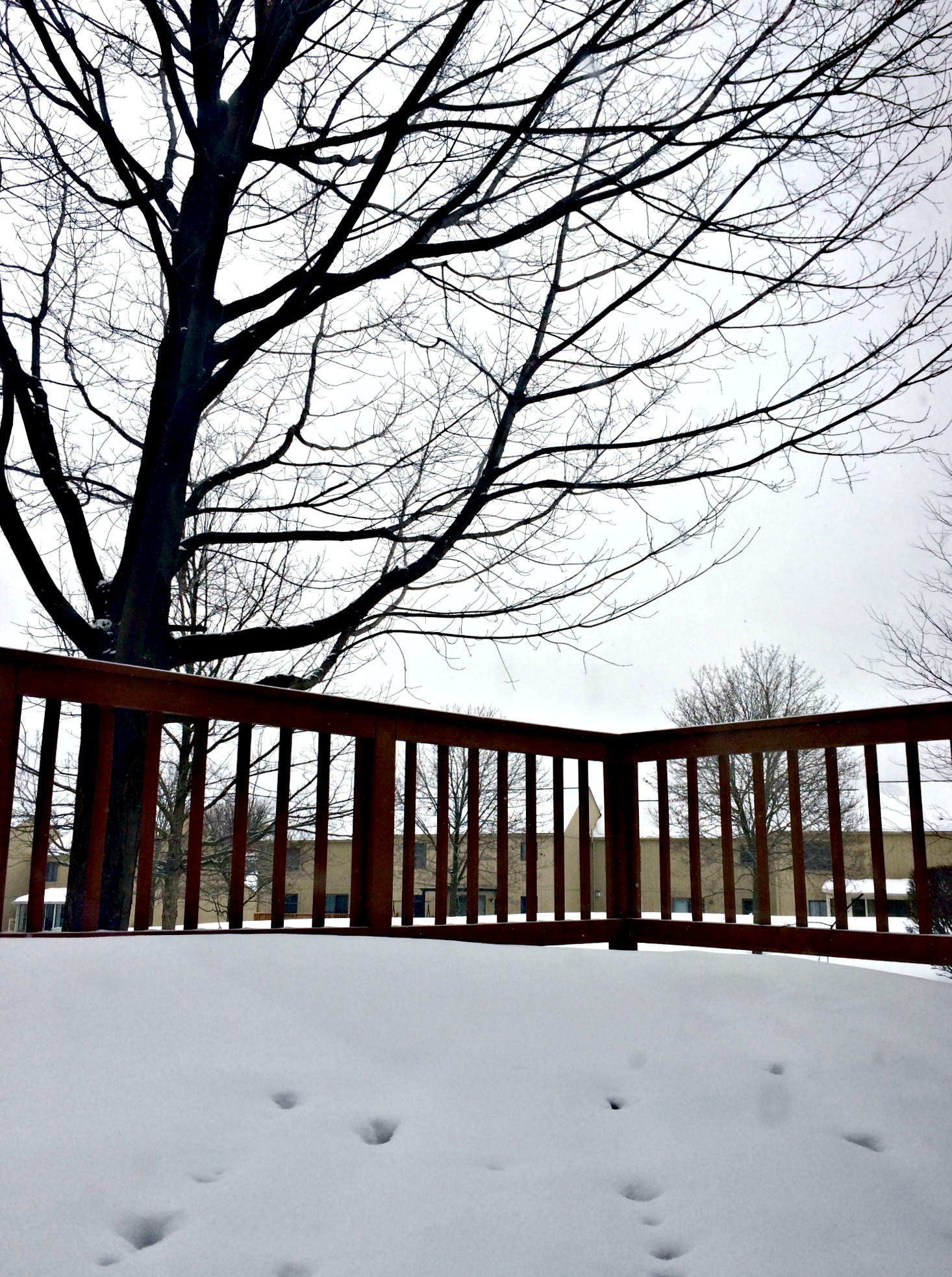 snowy porch