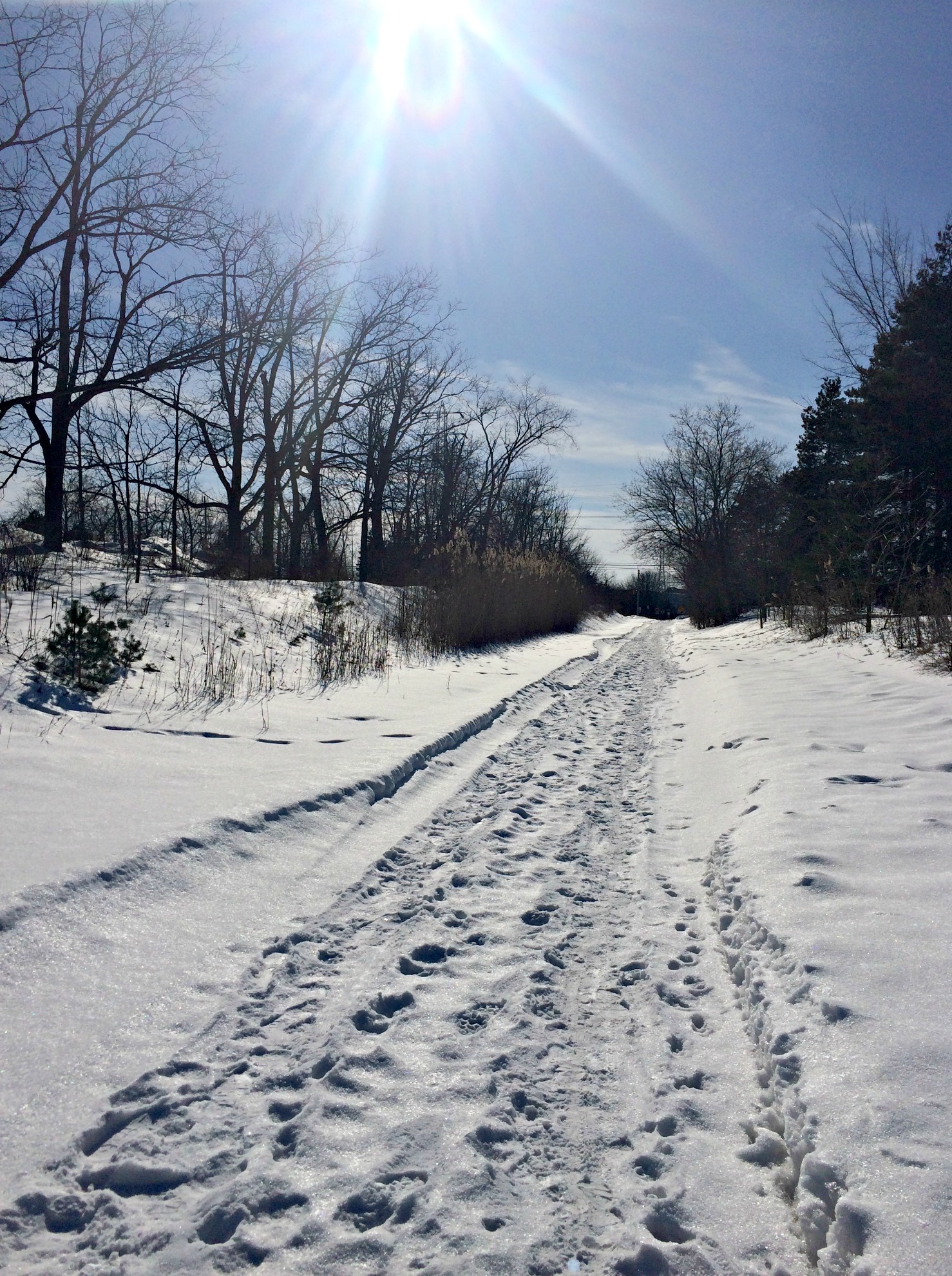 winter trails