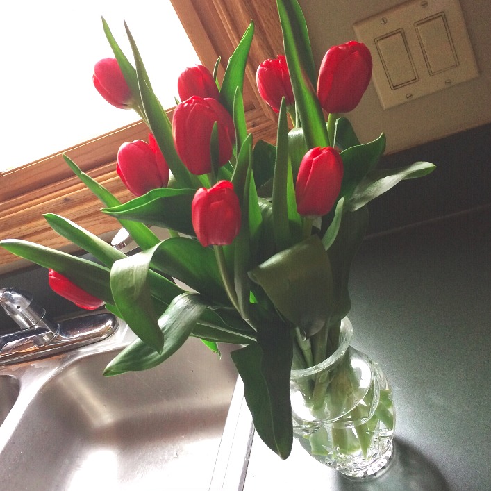 red tulips in crystal vase