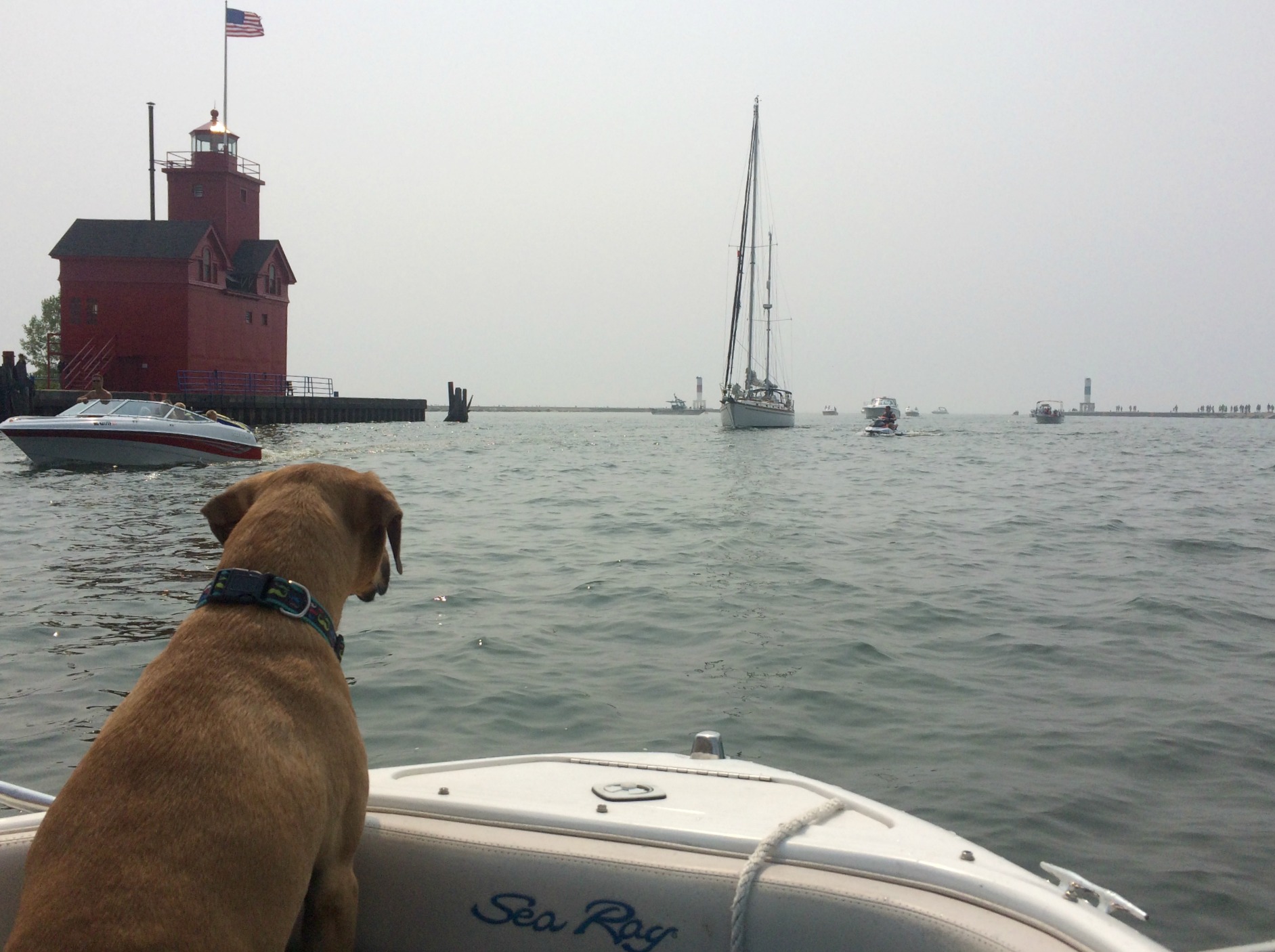Roadie on the boat  - Lake Michigan