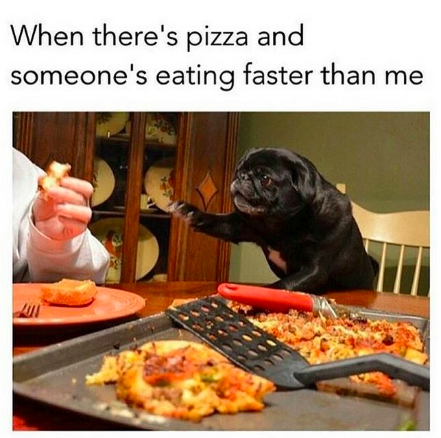 funny pizza meme
