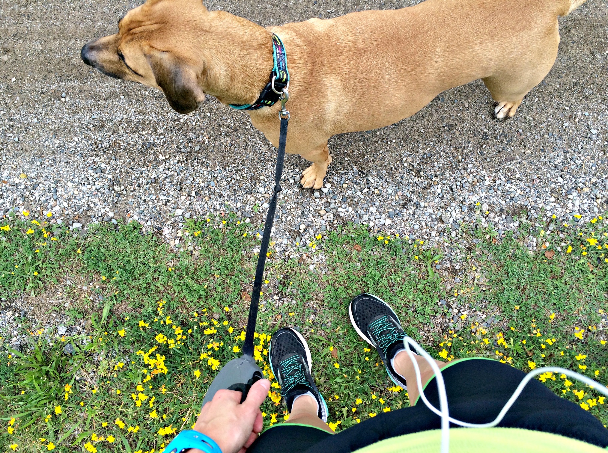 running on the trails with roadie