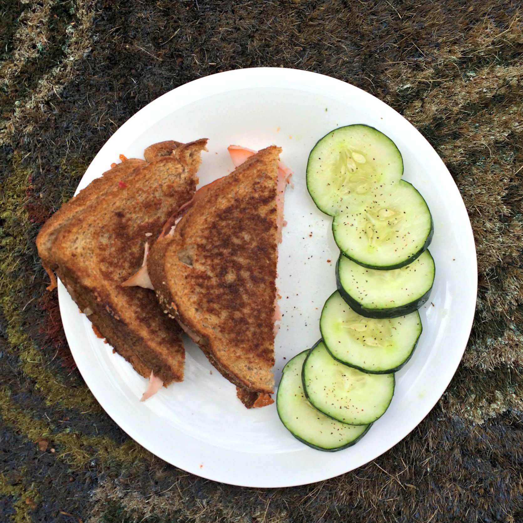 grilled ham and cheese sandwich and cucumbers