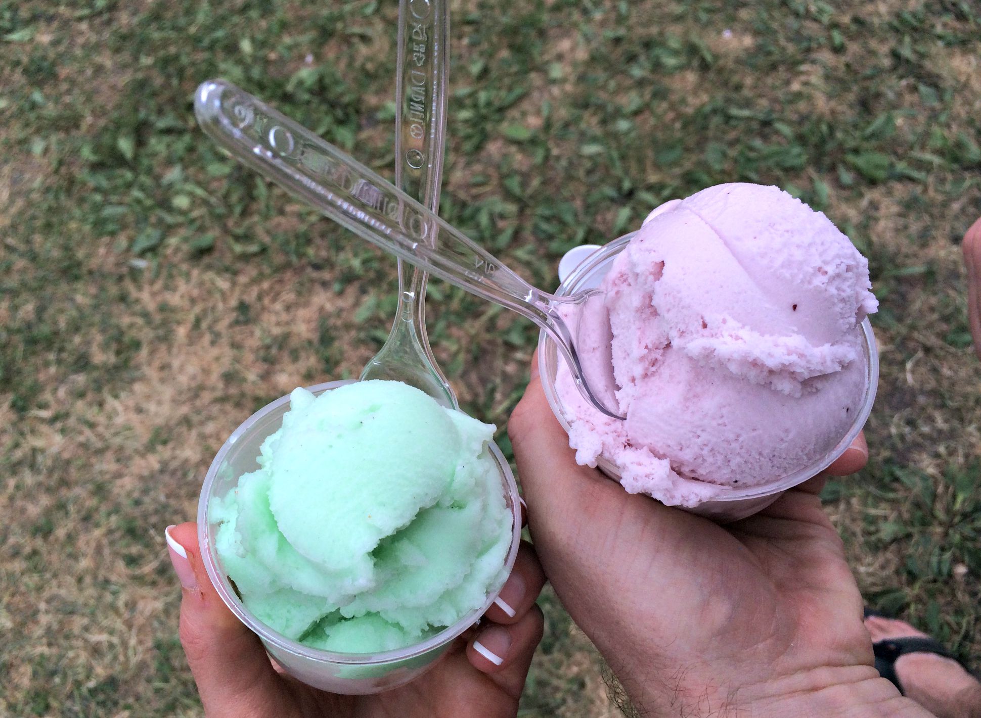 sorbet and ice cream at chicago hot dog fest