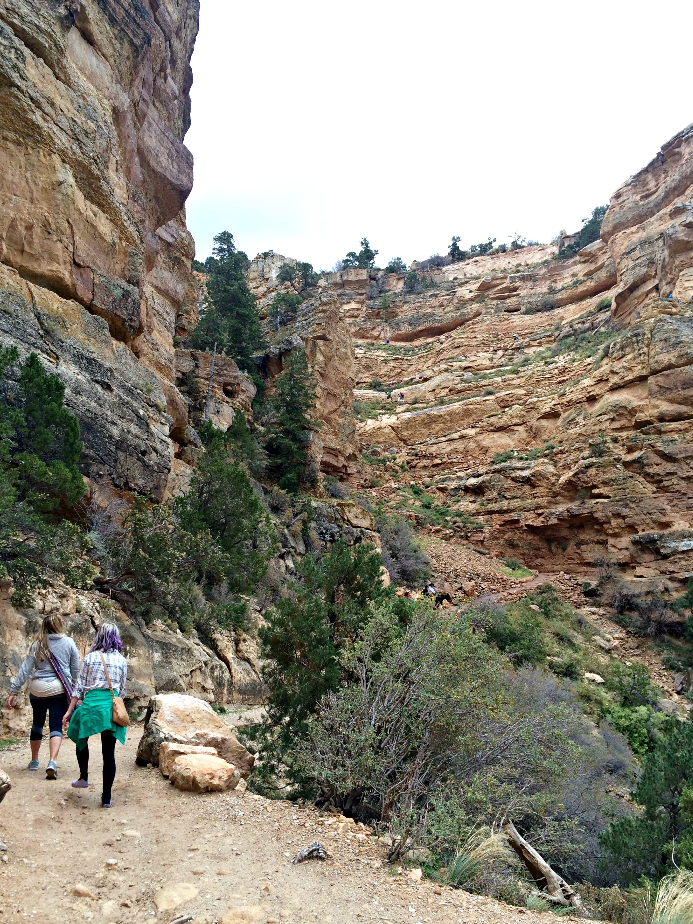 hiking the grand canyon