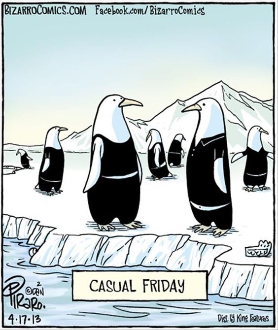 penguin casual friday