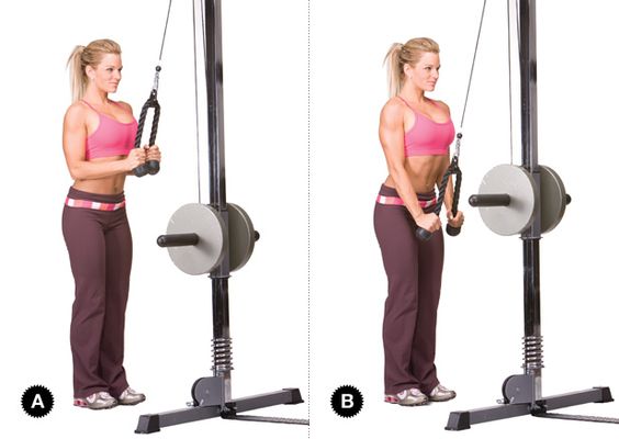 cable triceps pressdowns