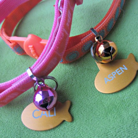 new cat collars for cali and aspen