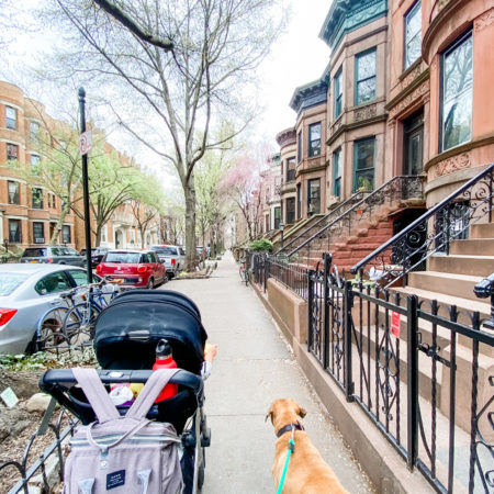 park slope neighborhood walk with skyler and roadie