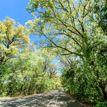 running prospect park