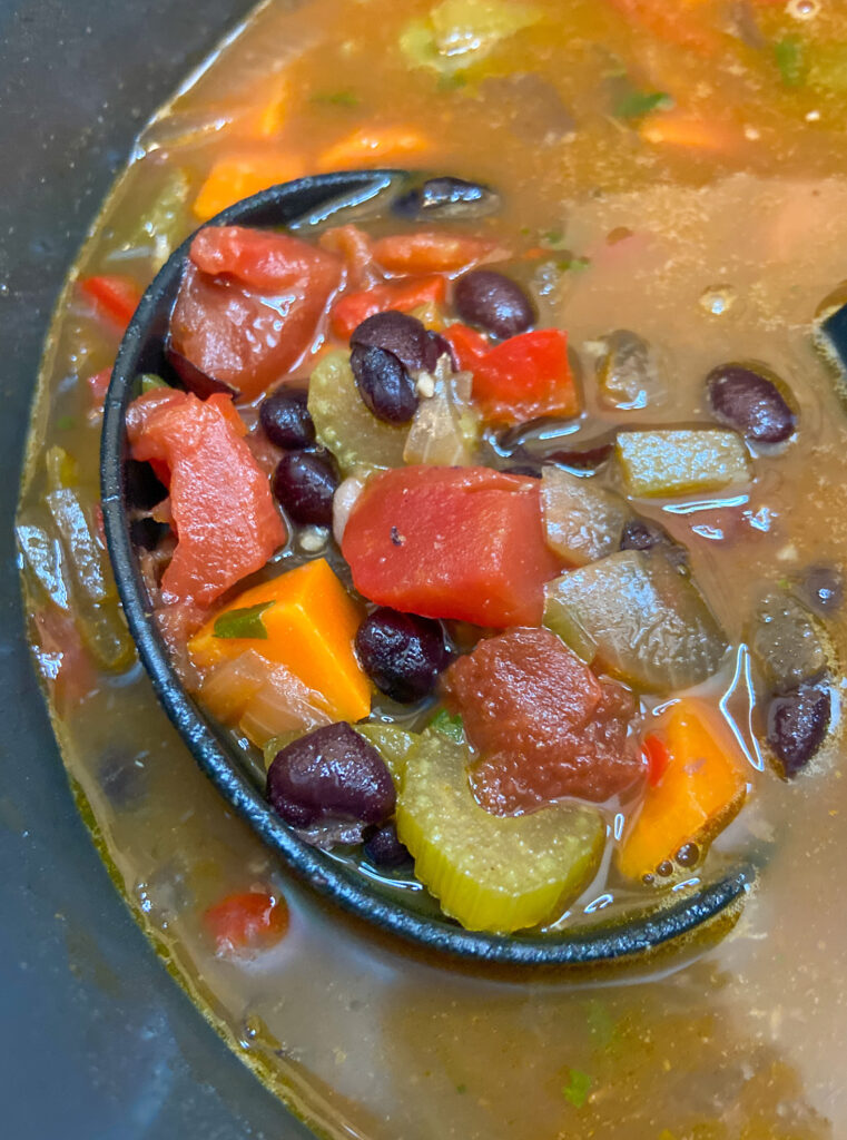 Black Bean and Vegetable Soup