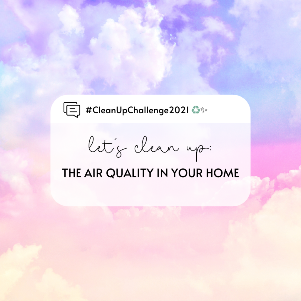 Clean Up Challenge 2021_ The Air Quality In Your Home