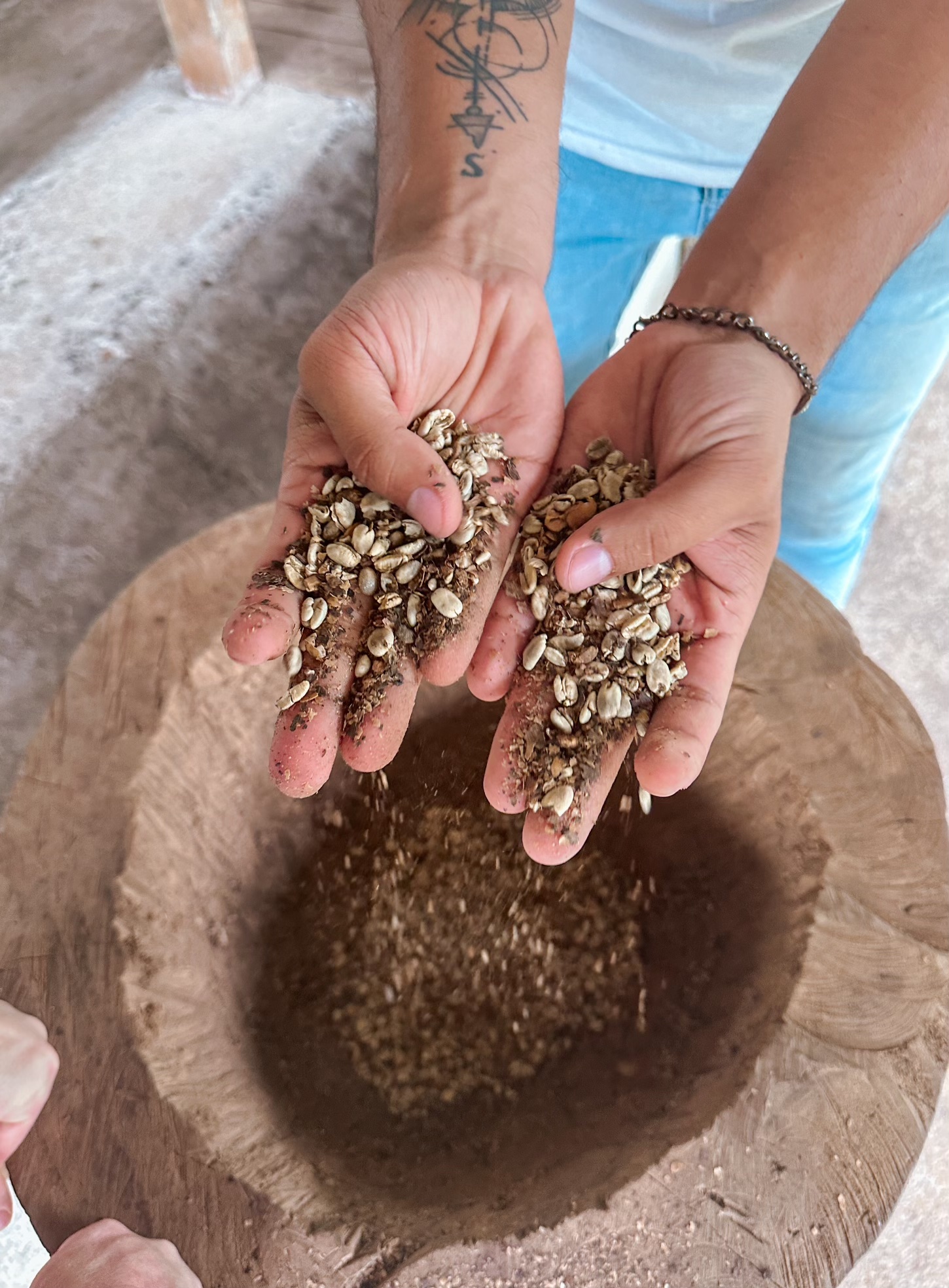 coffee plantation coffee beans