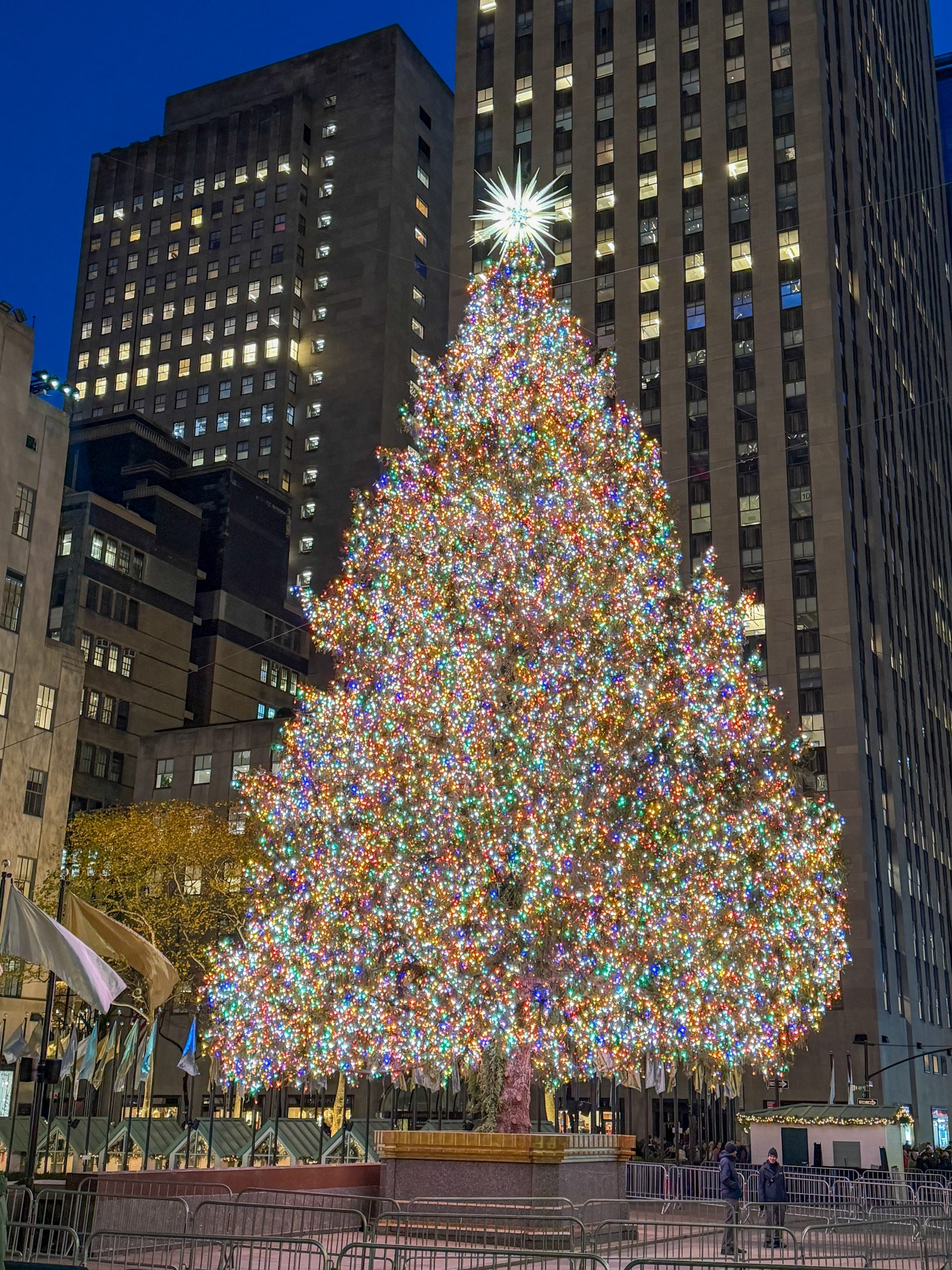 Rockefeller Tree 2025