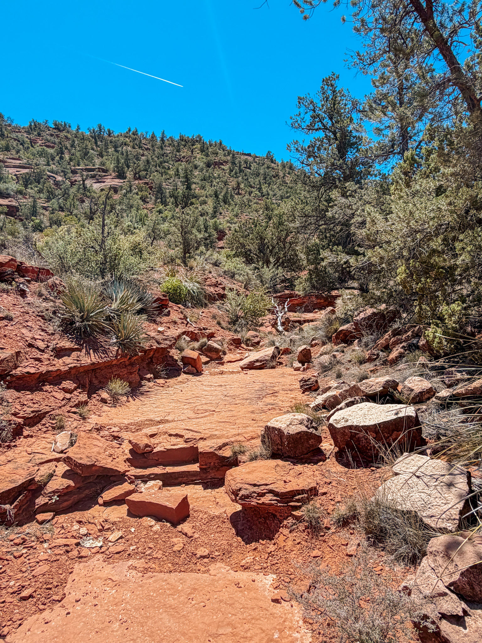 sedona trails